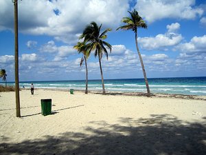 Guanabo plaj&#305;