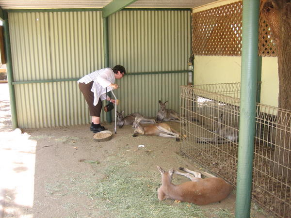 Mom playing with the Kangaroos