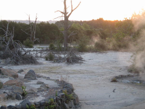 Stinky Rotorua