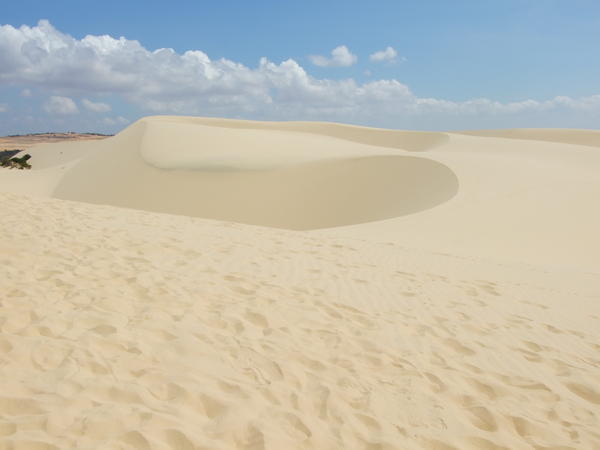 Sand Dunes 