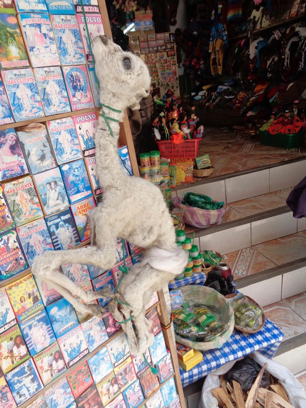 Llama fetus in the witches market - used as a sacrifice to Pachamama (mother nature)