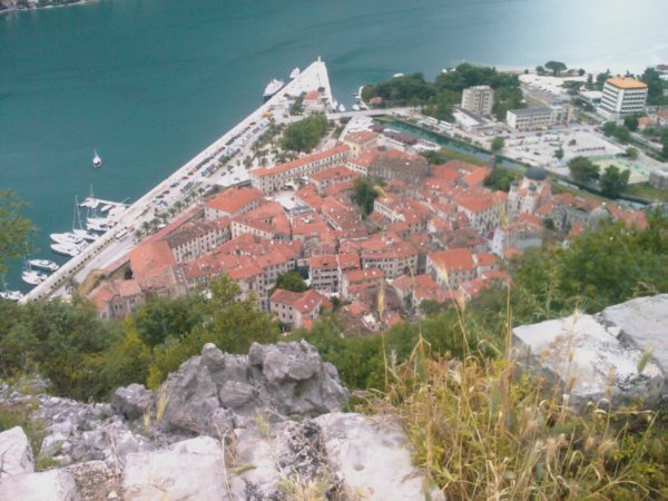 Kotor