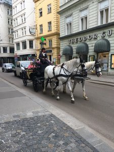 Around Vienna