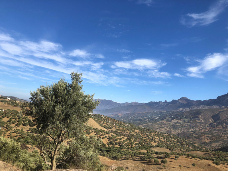 Drive to Chefchaouen