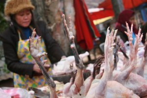 Fresh produce market