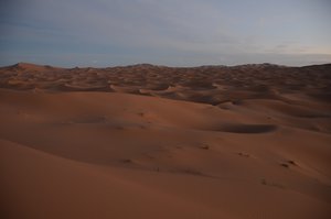die Wüste am Morgen