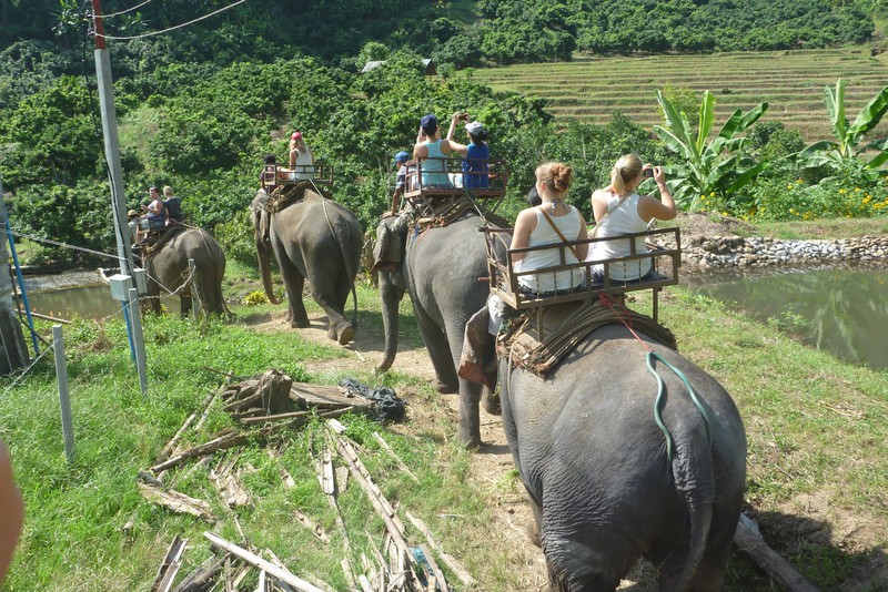 reiten auf den Elefanten