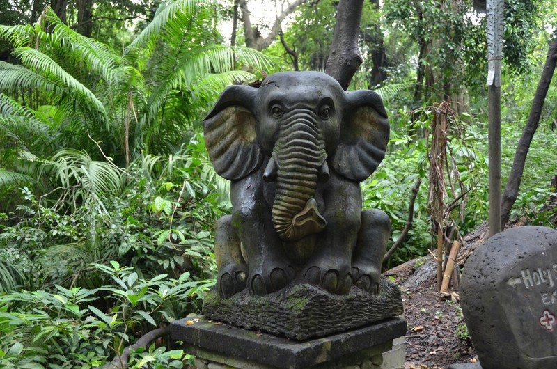 Elefant im Sacred Monkey Forest