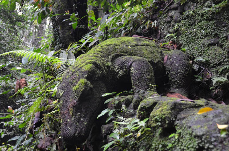 Komodo Dragon (Waran) im Sacred Monkey Forest