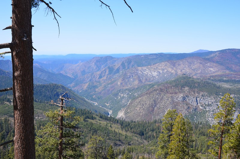 Blick über das Yosemite Valley