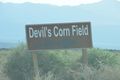 Devil's Corn Field