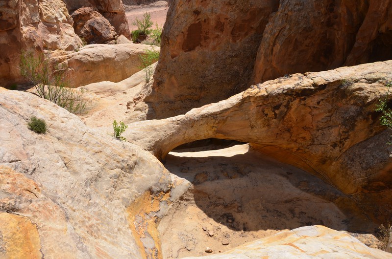 Capitol Reef National Park