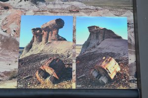 Petrified Forest