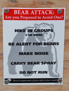 Bear-Alarm