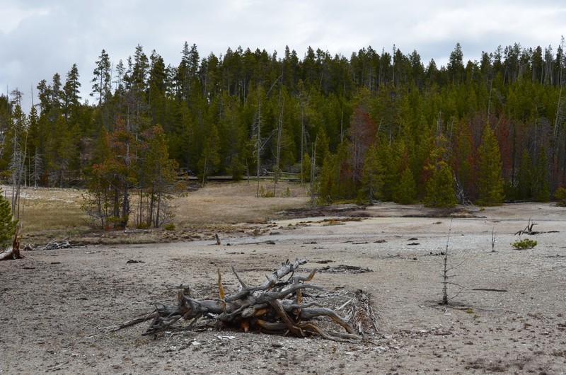 Norris Geyser Basin