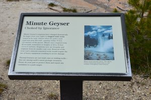 Minute Geyser