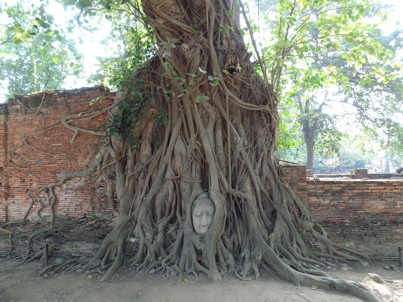 Temple ruins, Ayutthaya