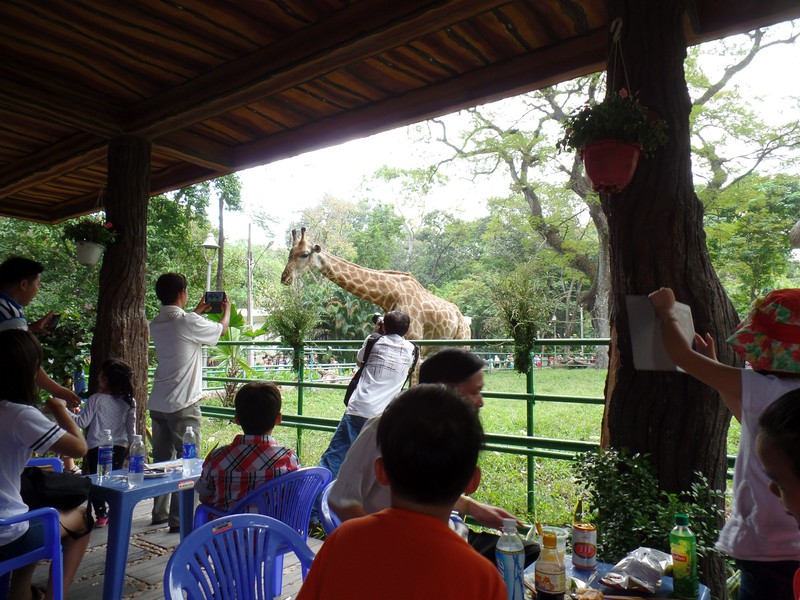 New Year's Day, Saigon Zoo