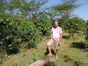 Bolaven Plateau - Coffee Plantation