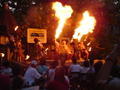 Fire Eaters at night Zoo