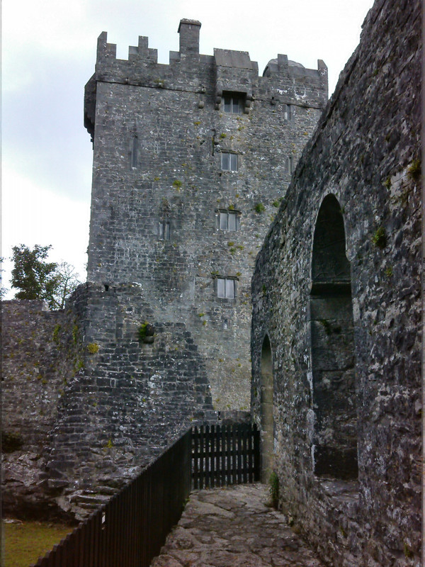 Iers kasteel.