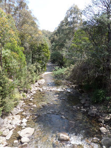 Mountain River, Huonville, Tasmania