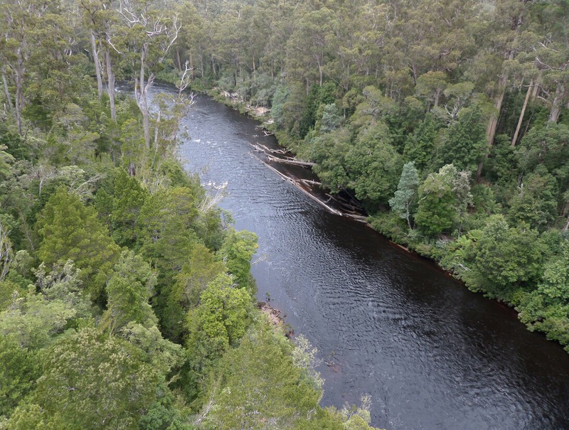 From the air walk over Huon river