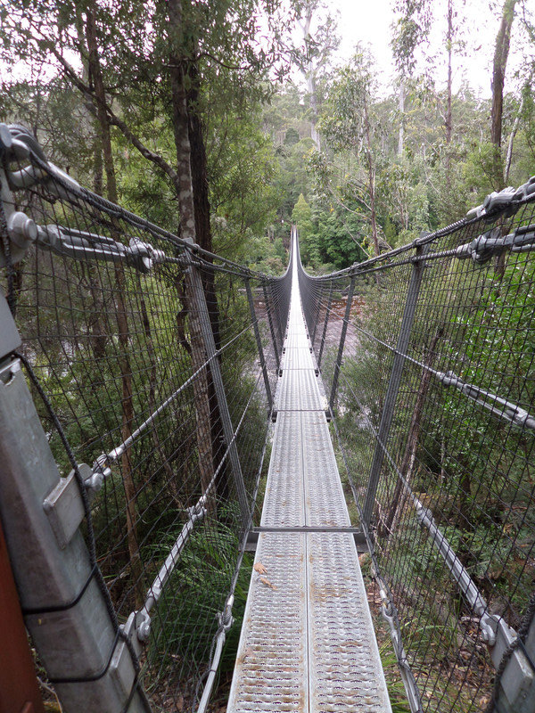 Swinging bridge high over River Picton, Tahune