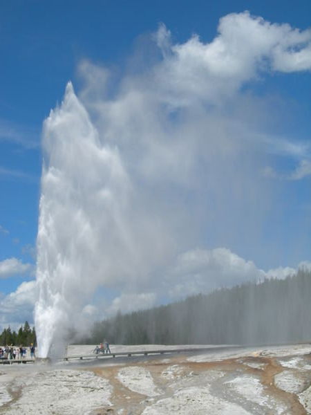 Beehive geyser at Yellowstone NP