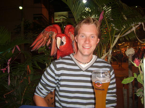 Drink + Parrot = Good Times!