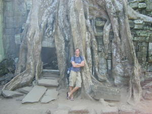 A temple eating tree & me