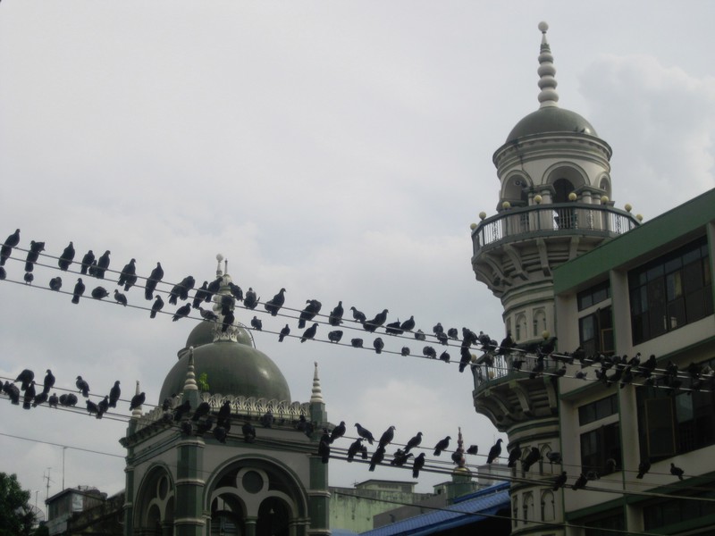 Surtee Sunni Jumma Mosque