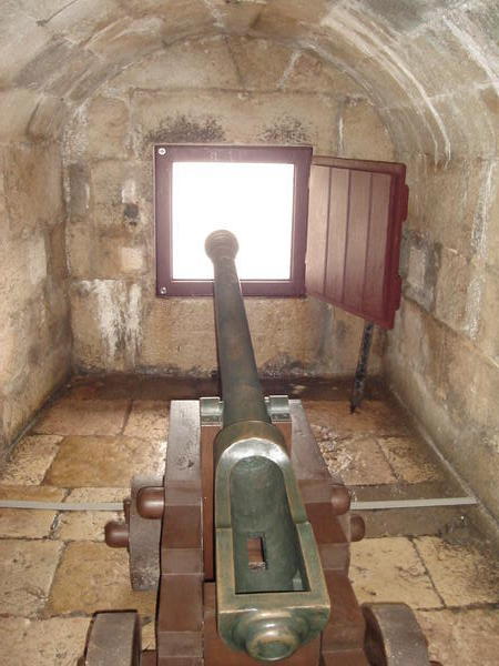 One of the cannons in the defense tower