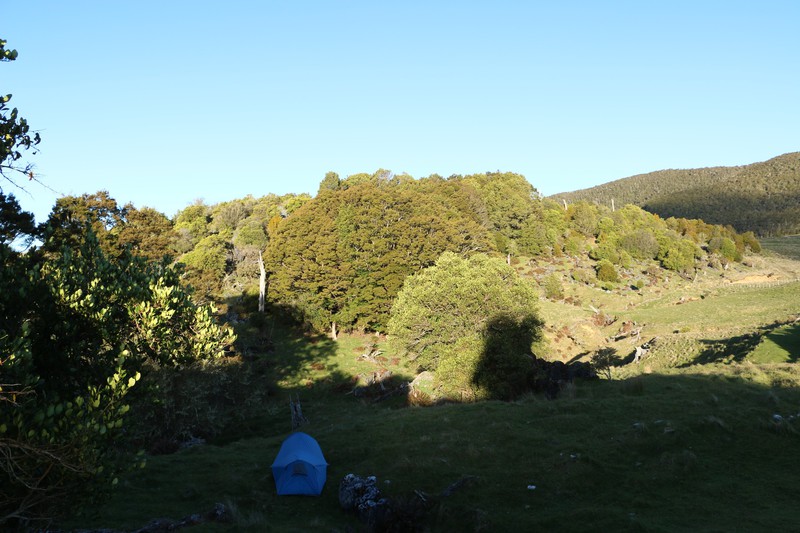 Camp on Takaka Hill