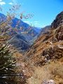 Colca Canyon Hike