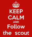 keep-calm-and-follow-the-scout-3