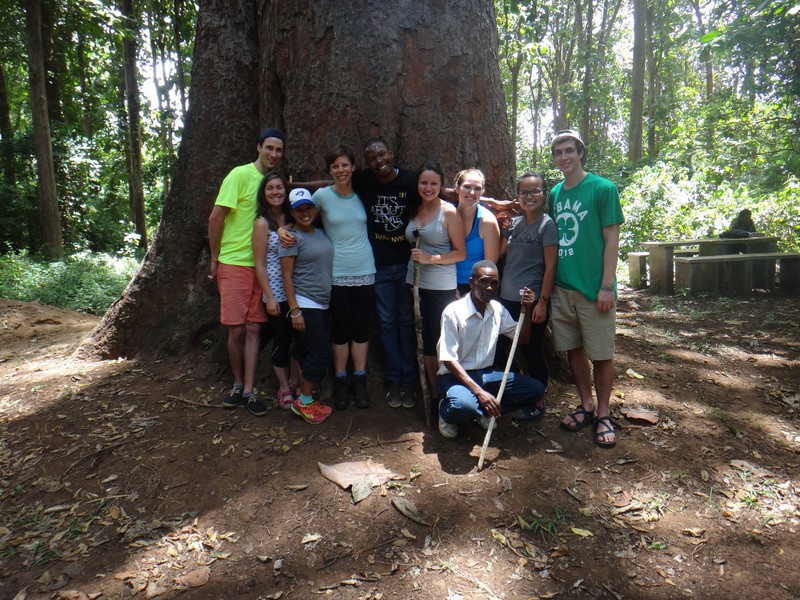 A group of us in front of the oldest Excelsa tree in the world