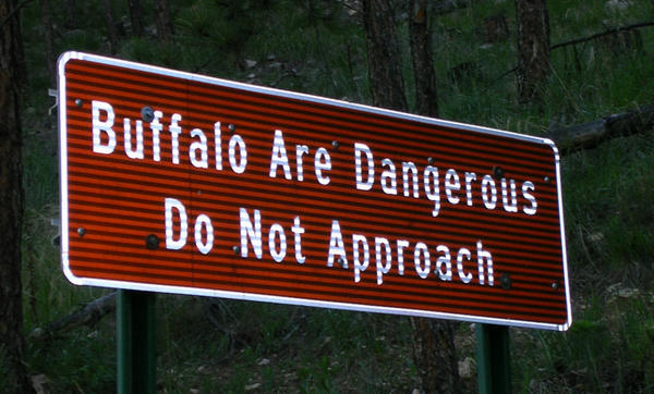Buffalo sign