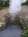 Dragons Mouth Spring with steam