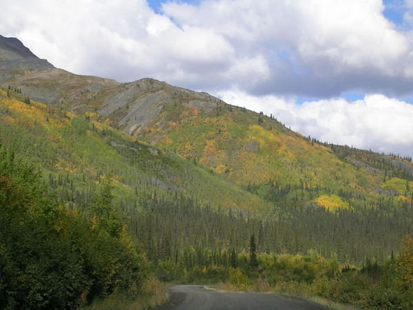 Fall colors on the mountain