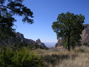 View from Chisos Mountains