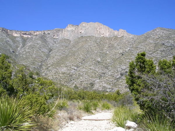 McKittrick Canyon Trail