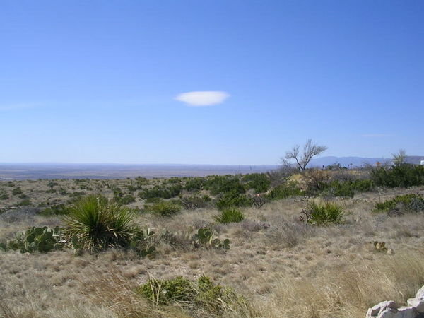 Chihuahuan desert on a windy day