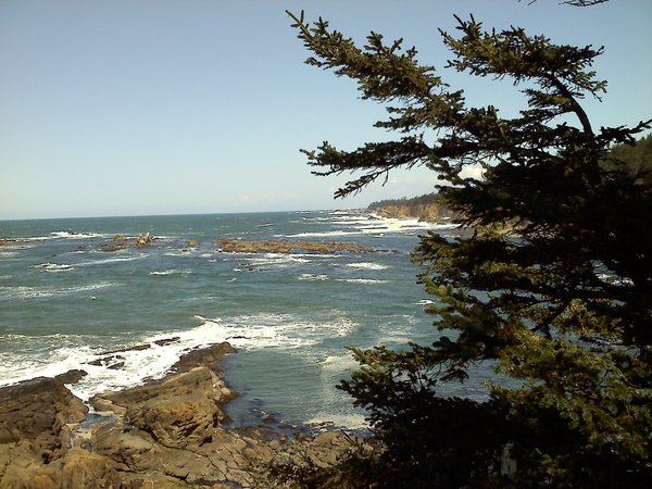 Oregon coast 2