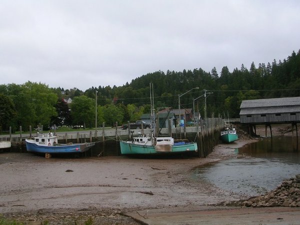 Low tide and covered bridge