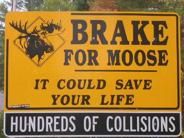 Moose sign