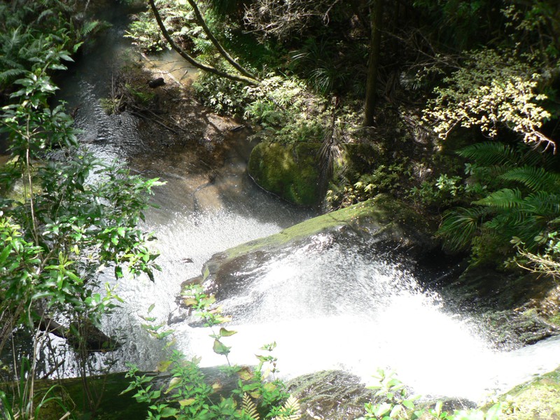 Waterfalls walk Puhoi IV