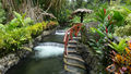 Hot springs, Arenal Costa Rica
