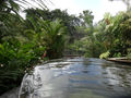 Hot springs, Arenal