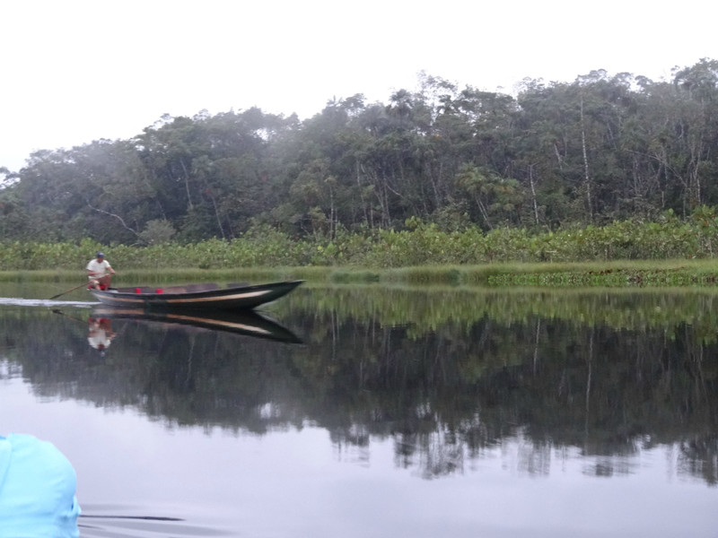 The lake at Sacha Lodge, Amazon